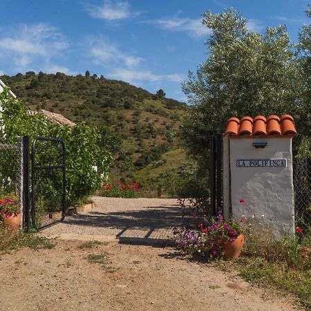 La Polifinca Logement Ecologique Casabermeja Zewnętrze zdjęcie
